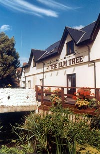 Inn at the Elm Tree (The)