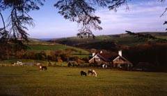 Coombe Farm Country House Hotel