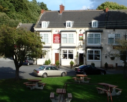 Fox & Hounds