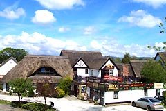 Guy`s Thatched Hamlet